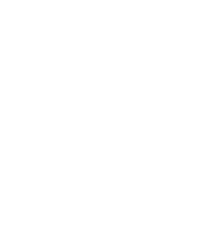 Naz Flowers — Premium Kenyan Roses
